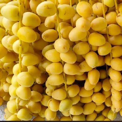 YELLOW DATES
