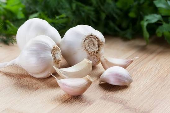 GARLIC