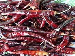 Dried Red Chilli (Neetu Milagai)